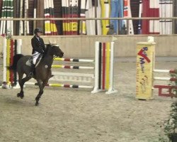 broodmare Cherie (Oldenburg show jumper, 2001, from Clerus)