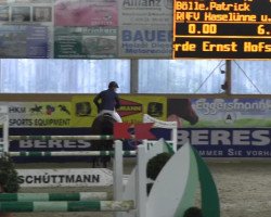 broodmare Quita 7 (Oldenburg, 2002, from Quattro B)