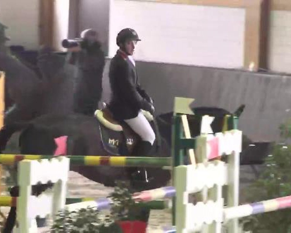 jumper Centoubet (Oldenburg show jumper, 2003, from Cento)
