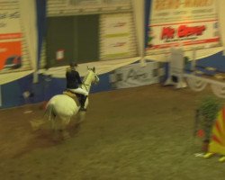 Springpferd Vasco S (KWPN (Niederländisches Warmblut), 2002, von Dillenburg)