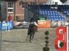 jumper Circo 3 (Holsteiner, 2011, from Classe VDL)