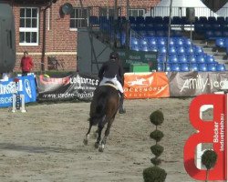 jumper Circo 3 (Holsteiner, 2011, from Classe VDL)