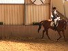 dressage horse Rubitano 4 (Westphalian, 2004, from Rosizky)