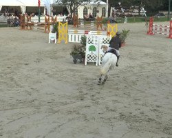 jumper Caipirinha 43 (Hanoverian, 2002, from Chasseur I)