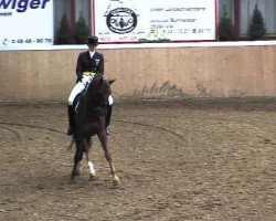 dressage horse Fiederglanz (Oldenburg, 2007, from Fidertanz)