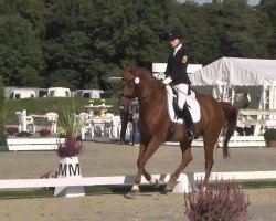 dressage horse Weingold 43 (Hessian Warmblood, 2000, from Wolkenstein I)