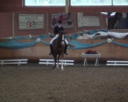 dressage horse White Foot (Hanoverian, 1989, from World Cup III)