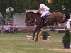 jumper Landino 126 (German Sport Horse, 2005, from Lesotho)