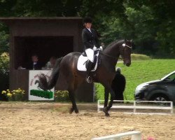 Dressurpferd Ranjano (Westfale, 2006, von Real Diamond)