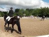 dressage horse Rio de Janeira (Rhinelander, 2004, from Rosenkoenig)