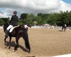 dressage horse Rio de Janeira (Rhinelander, 2004, from Rosenkoenig)