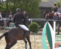 dressage horse Orage 3 (Oldenburg, 2002, from Obsession)