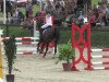 jumper Vagabund (German Riding Pony, 1998, from Vulkan)