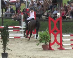 jumper Vagabund (German Riding Pony, 1998, from Vulkan)