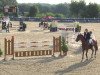 jumper Latin Lover 35 (Hessian Warmblood, 2000, from Lone Star)