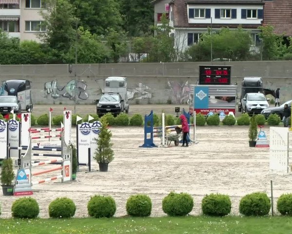 Reitturnier Basel Schänzli 2021