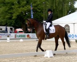 dressage horse Sir Arnold (Hanoverian, 2002, from Schwarzenegger)