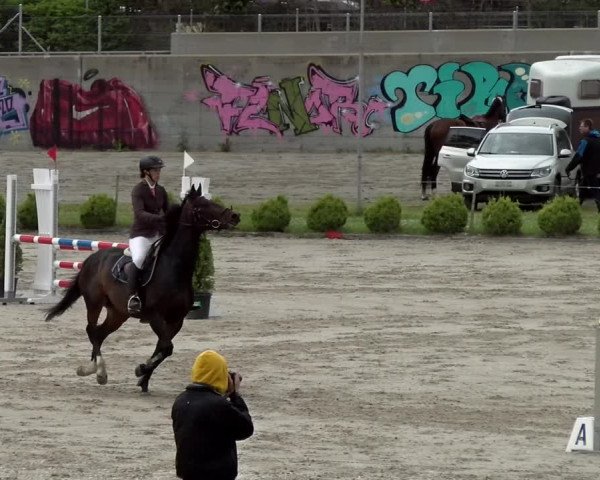 Reitturnier Basel Schänzli 2021