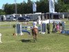 jumper Catch me 11 (Oldenburg show jumper, 2003, from Ciacomo)