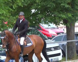 jumper Raymann (Hanoverian, 2004, from Royal Z I)