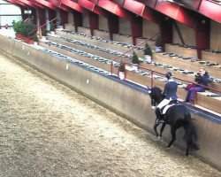 dressage horse Sixty-Four S (Danish Warmblood, 2009, from Swarovski)