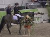 jumper Charmeur 372 (German Riding Pony, 2005, from Charm of Nibelungen)