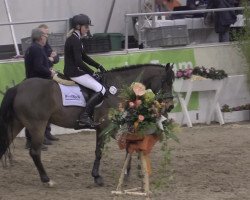 Springpferd Charmeur 372 (Deutsches Reitpony, 2005, von Charm of Nibelungen)