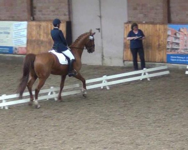 dressage horse Wan Weyden (Hanoverian, 1997, from Weltgeist)