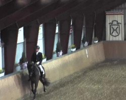 dressage horse Fürst Ferdinand 14 (Hanoverian, 2010, from Fürst Nymphenburg)