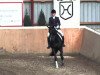 dressage horse Ferisa (Hanoverian, 2009, from First Dance)