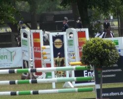 dressage horse Top Na-Jaan (German Riding Pony, 2003, from Top Nantario)