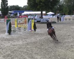 jumper Cantano 7 (German Riding Pony, 1994, from Confetti)