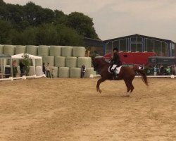 dressage horse Whispering Thunder (Rhinelander, 1998, from Worldman)