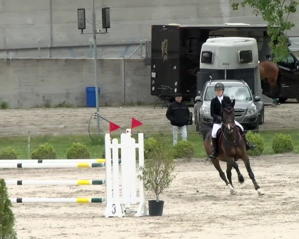 Reitturnier Basel Schänzli 2021