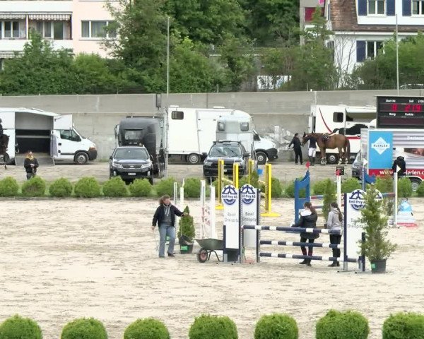 Reitturnier Basel Schänzli 2021