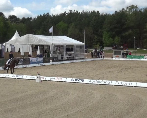Reitturnier Rastede-Nethen 2021