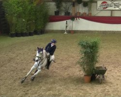 jumper Fioretto 24 (German Riding Pony, 1998, from Folklore)