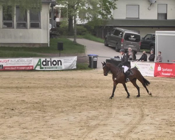 Reitturnier Kurtscheid 2021