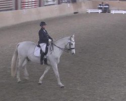 dressage horse Lover Boy 29 (Holsteiner, 2003, from Leonce)