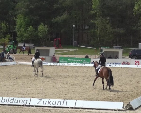 Reitturnier Rastede-Nethen 2021