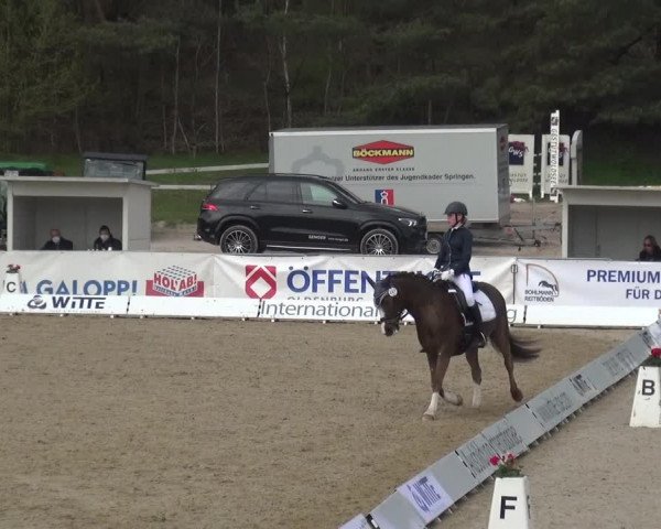 Reitturnier Rastede-Nethen 2021