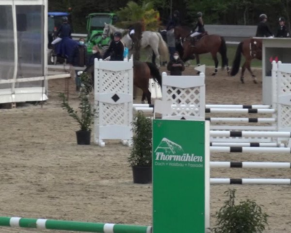 Reitturnier Rastede-Nethen 2021