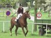 dressage horse Uranus 86 (Trakehner, 1997, from Parforce)