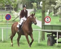 dressage horse Uranus 86 (Trakehner, 1997, from Parforce)