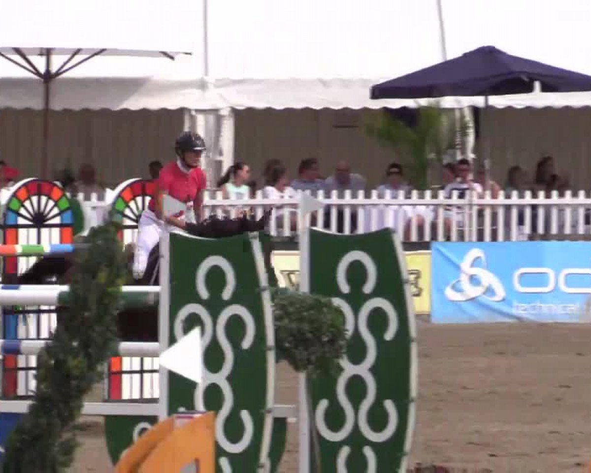 jumper Waldmann (Westphalian, 2004, from Weinzauber)