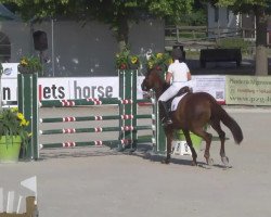 broodmare Ganadora (Oldenburg, 2003, from Rubin Royal OLD)