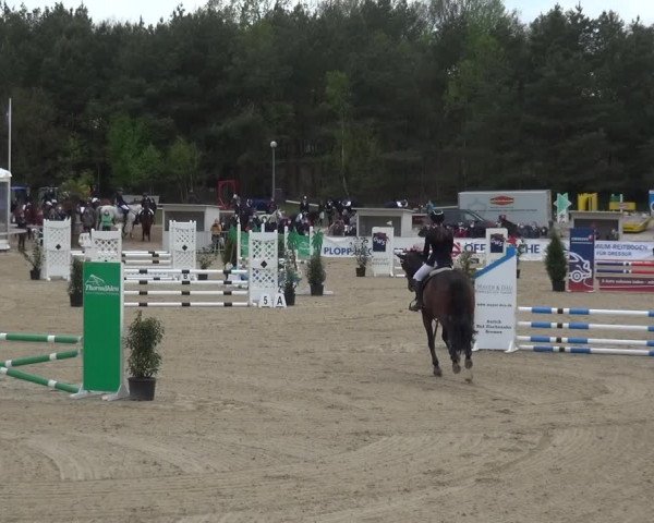 Reitturnier Rastede-Nethen 2021