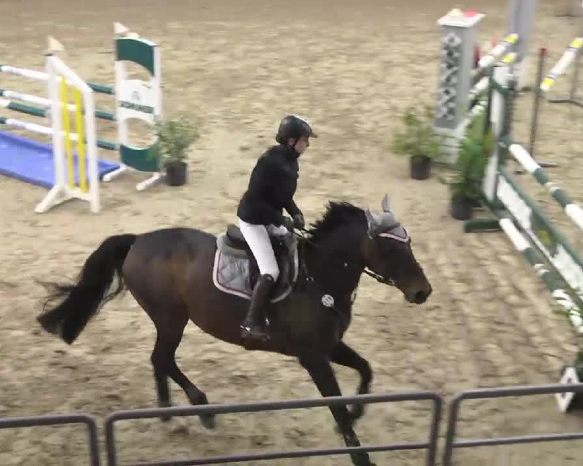jumper Lissabon 45 (Zweibrücken, 2005, from Lordano)