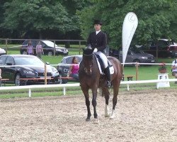 dressage horse Desperado 172 (Oldenburg, 2001, from Diamond Hit)