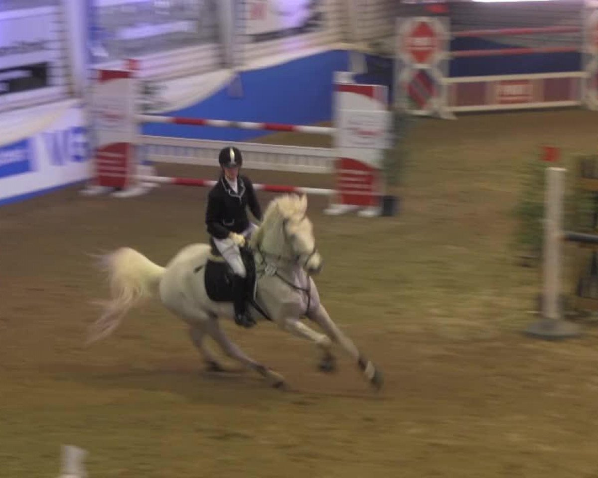 jumper Christopher 8 (Westphalian, 1999, from Coronino)